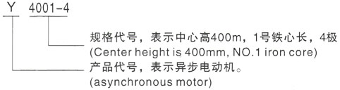 西安泰富西玛Y系列(H355-1000)高压YE2-280S-8三相异步电机型号说明