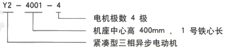 YR系列(H355-1000)高压YE2-280S-8三相异步电机西安西玛电机型号说明